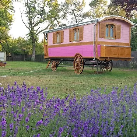 Roulotte O Bois D'mon Cœur Bussac-Foret