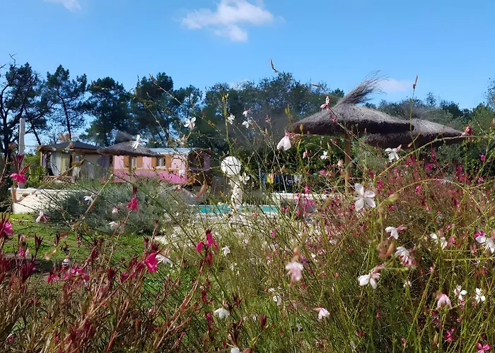 Semesterpark Roulotte O Bois D'mon Coeur *